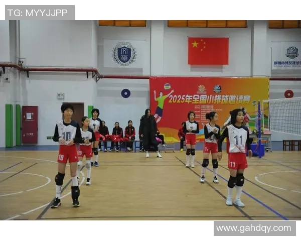 武汉排球队的精神探索与排球文化的深度融合之旅